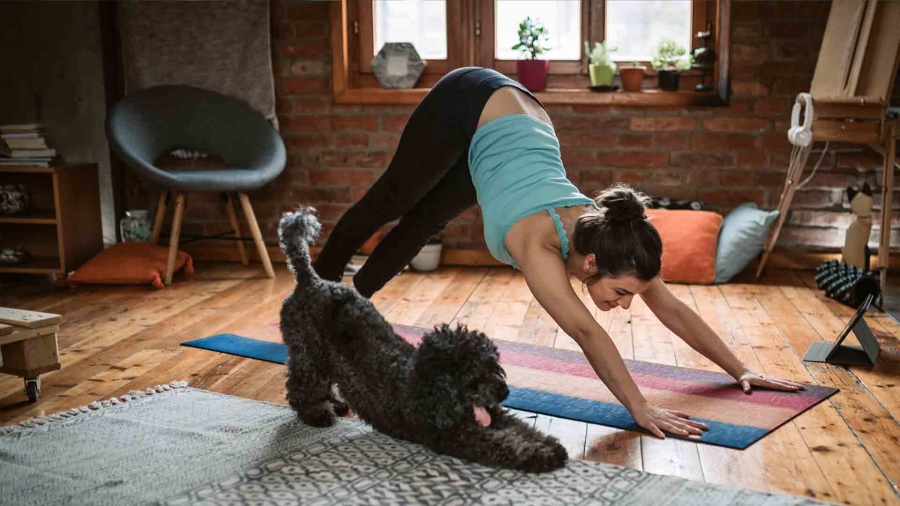 woman and a dog doing yoga pose