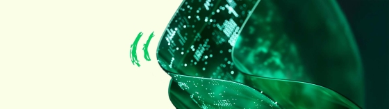 A close up of a green object