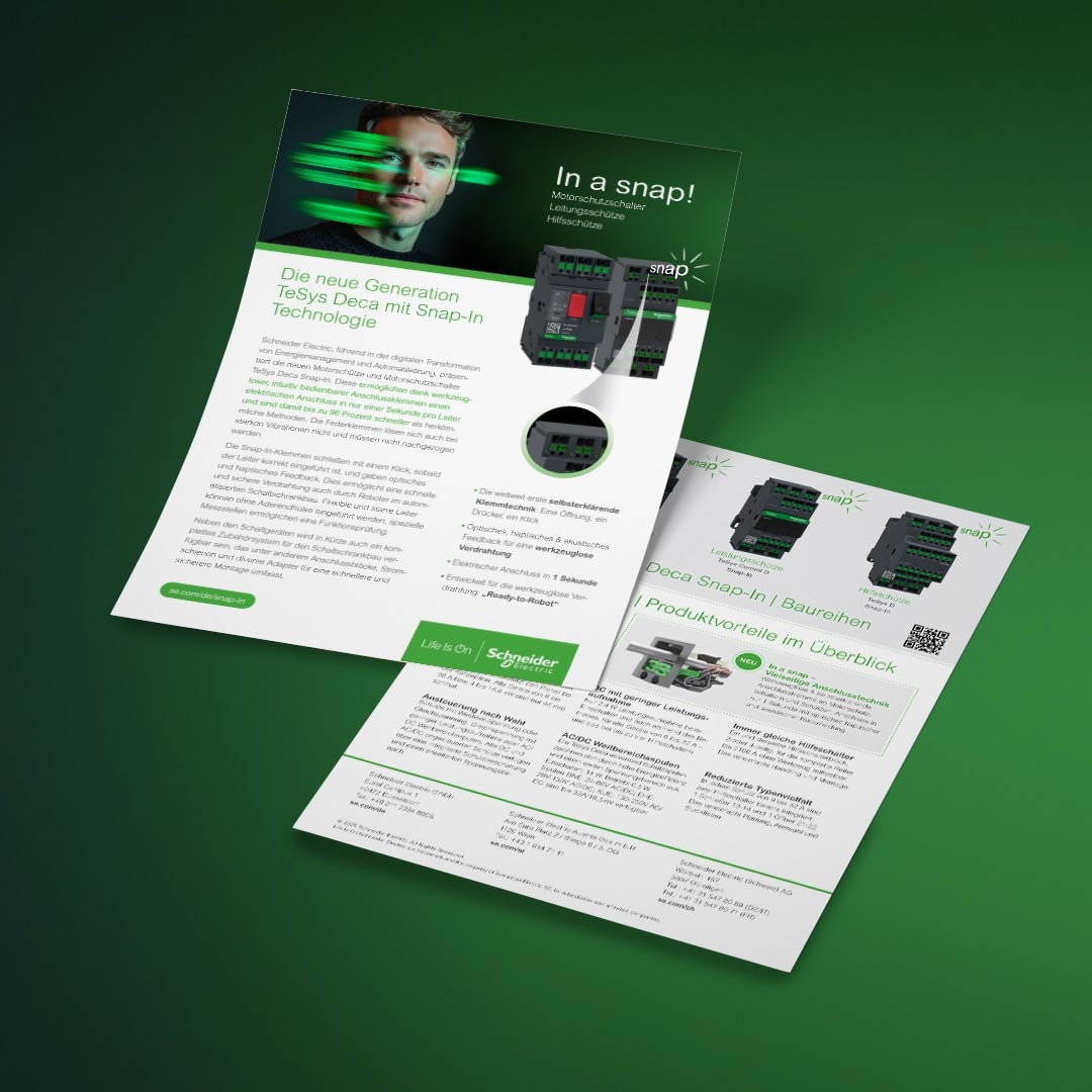 Image of Flyer Brochure