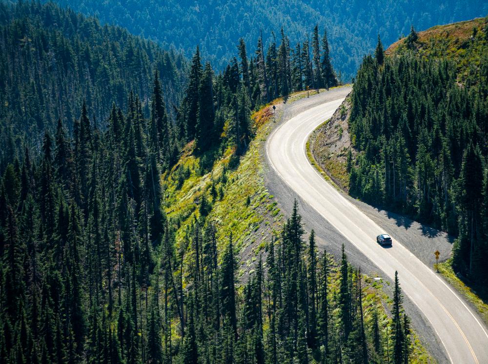 Schneider Electric auf der COP27.jpg.jpg