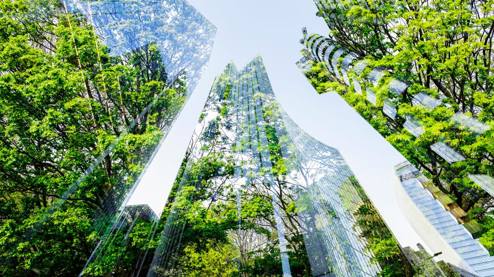 Schneider Electric in Davos
