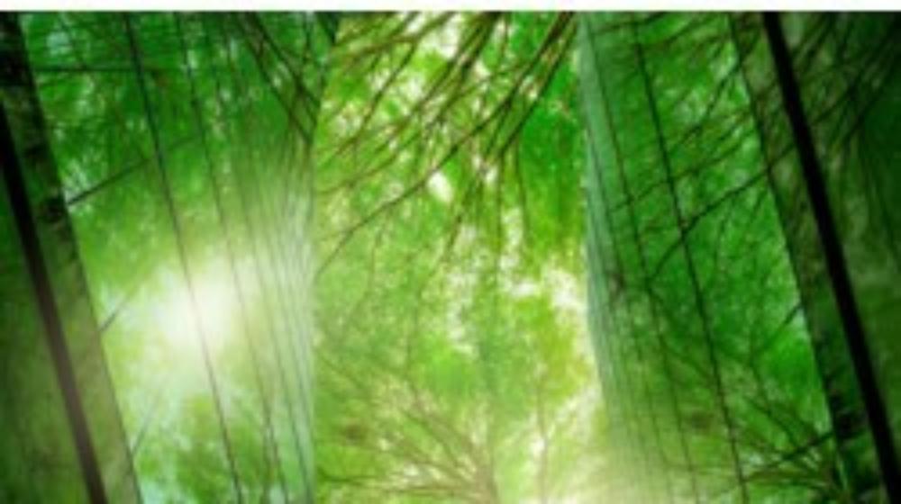Schneider Electric and Big Red Group partner to drive decarbonisation in the experiences sector