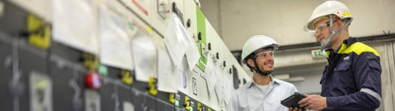 two services experts evaluating safety of the equipment 