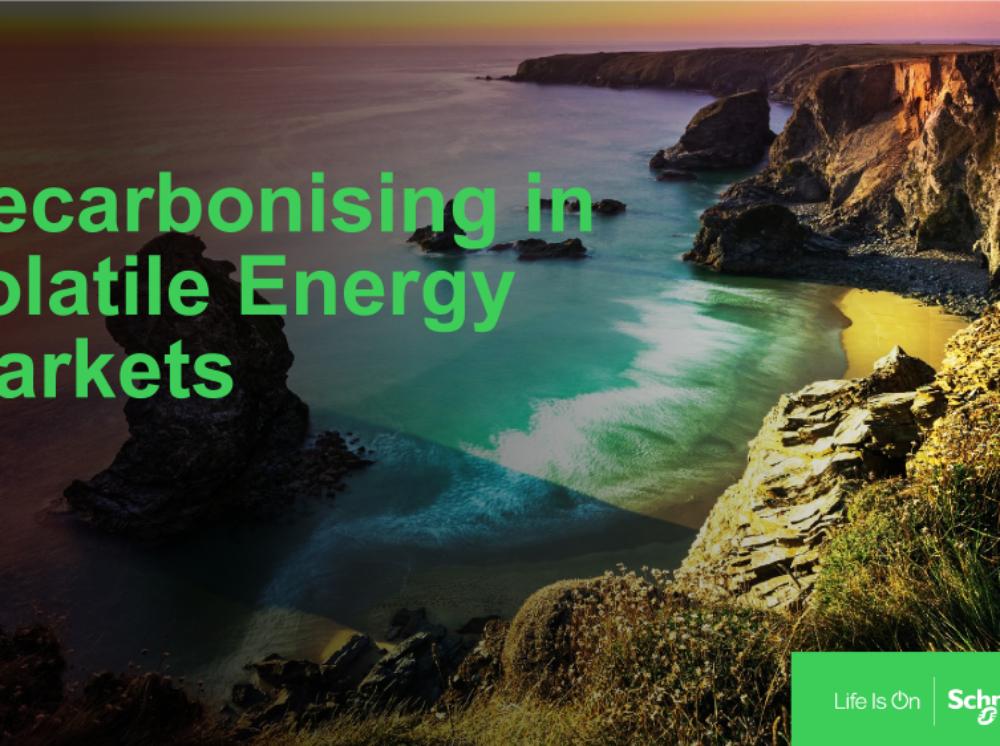 Decarbonising-in-Volatile-Energy-Market.pdf