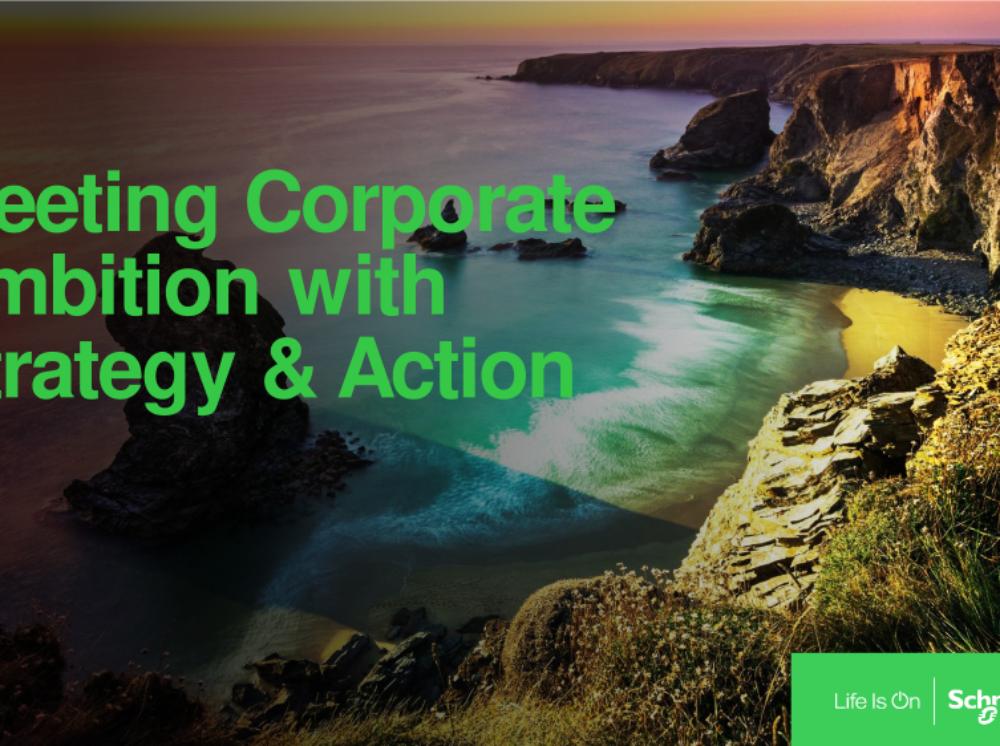 Meeting-Corporate-Ambition_Strategy-Action.pdf
