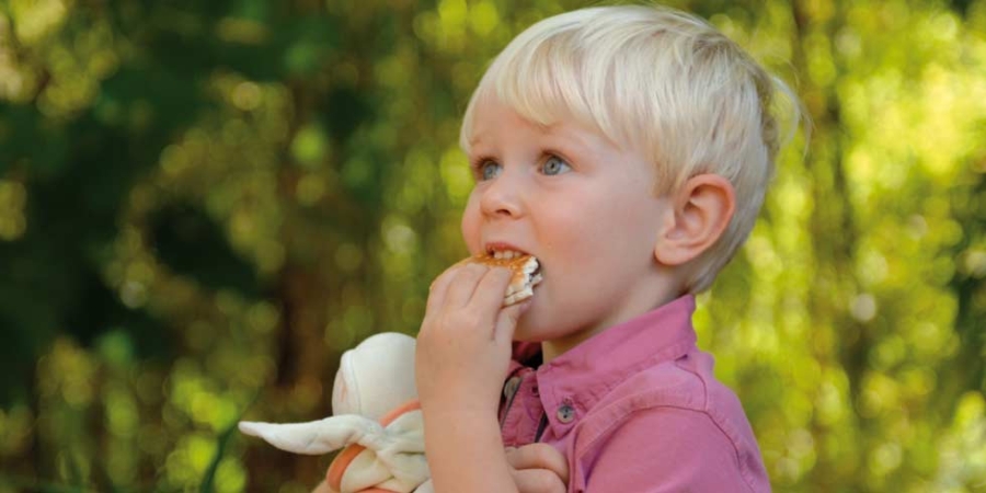 A child eating a sandwich, food and beverage.