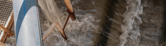 AMICS Customer Story