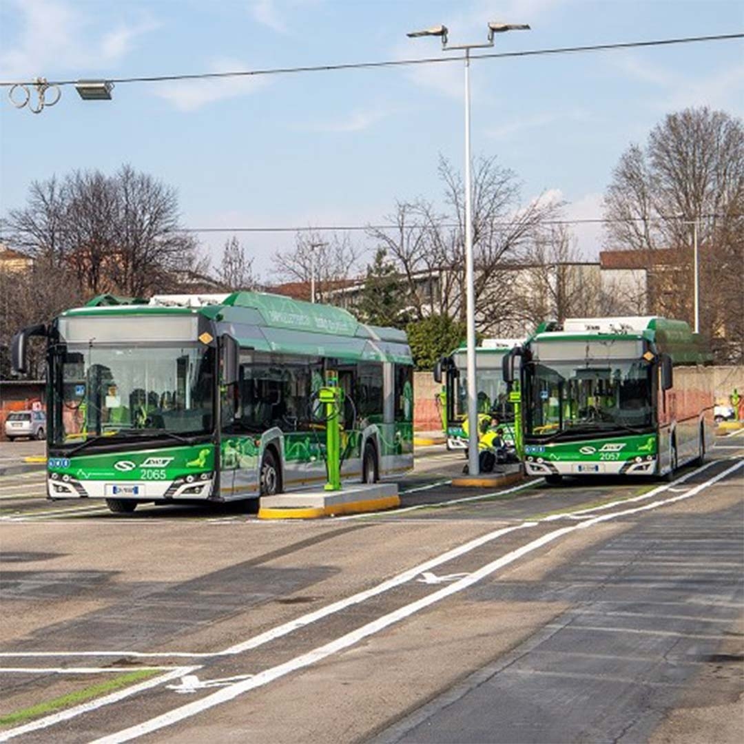 A group of buses parked on a street