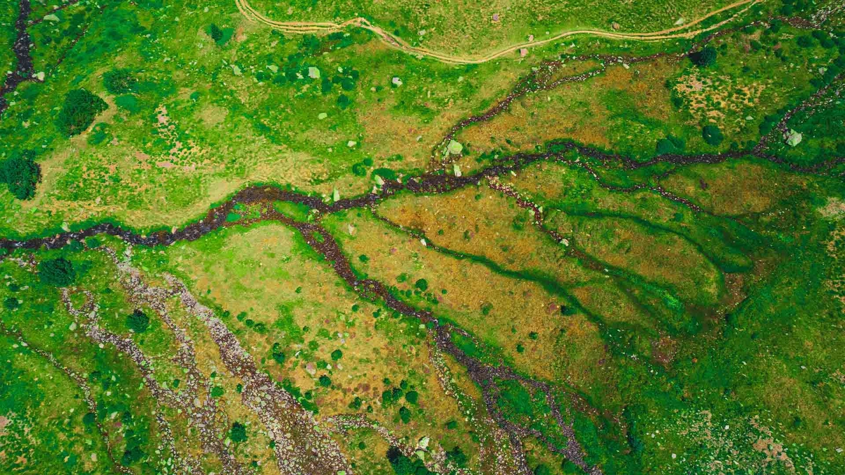 A green and brown land