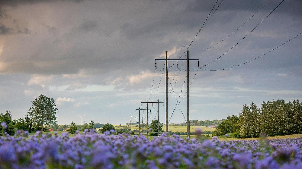 Schneider Electric auf der E-world 2023