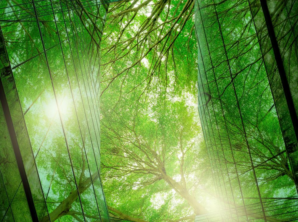 Schneider-Electric-and-EcoAct-jpg.jpg