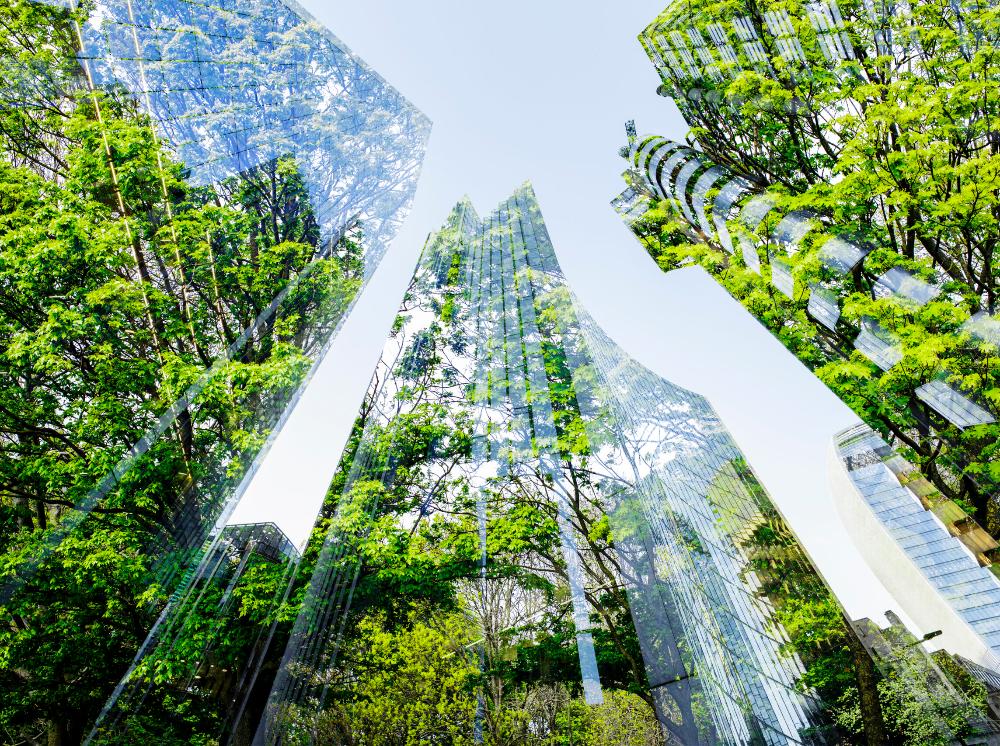 Schneider-Electrics-new-research-shows-that-digital-and-electric-solutions-can-cut-carbon-emissions-in-office-build.jpg