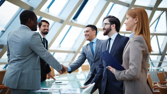 people in meeting shaking hands