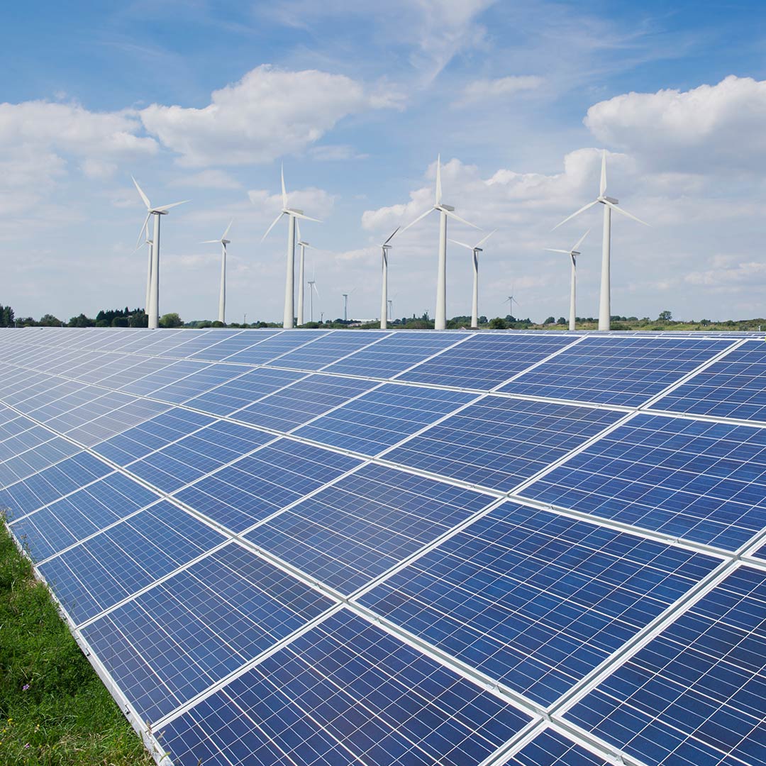 屋顶安装 1,034 块太阳能面板，可吸收足够的太阳能，每小时可产生 295 千瓦的电量。 