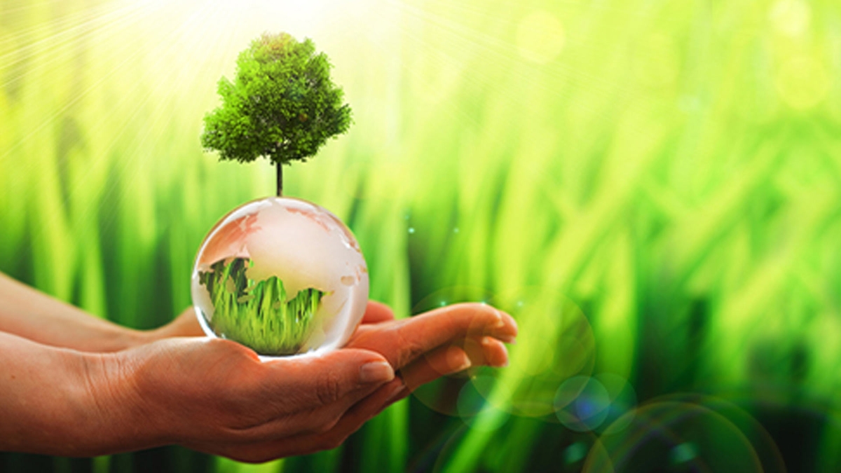 Dos manos sosteniendo un árbol pequeño