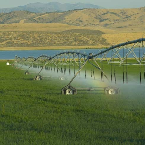 Aspersores regando el césped en una granja en Utah, EE. UU.