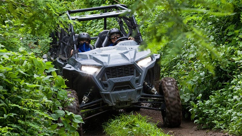 A polaris car in a jungle