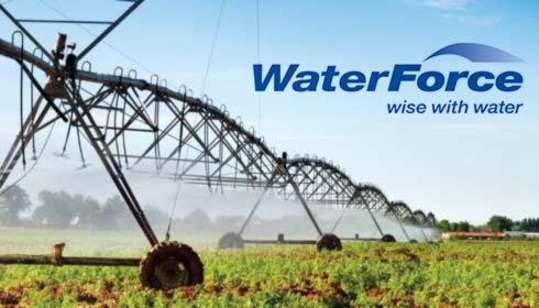 Texto Alternativo Predeterminado