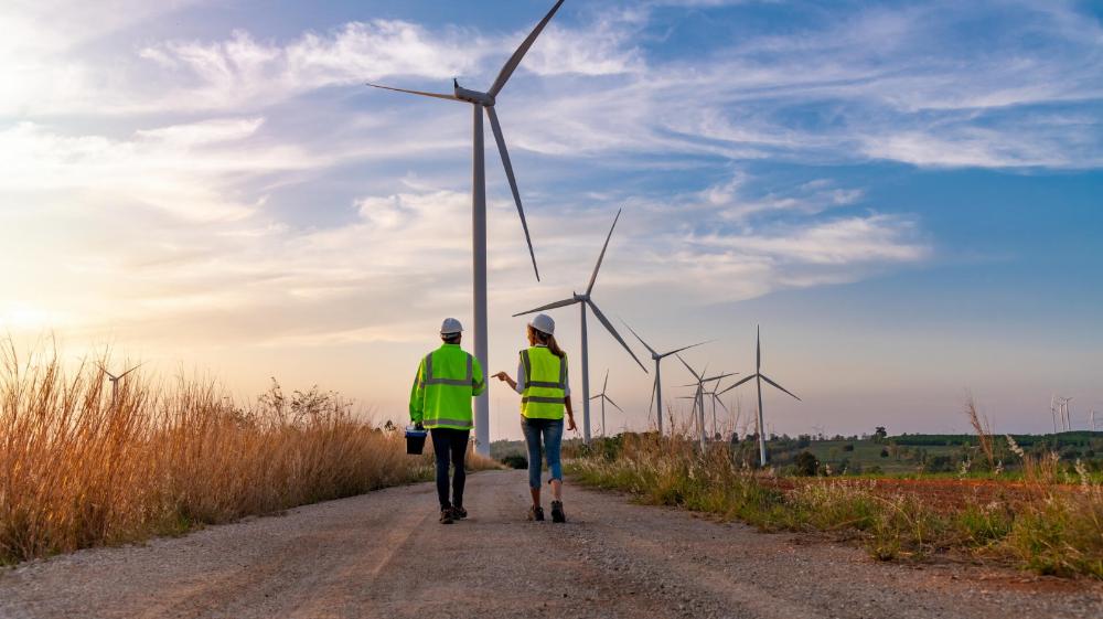 Descentralización eléctrica y microrredes: más y mejor energía, menos daño al ambiente