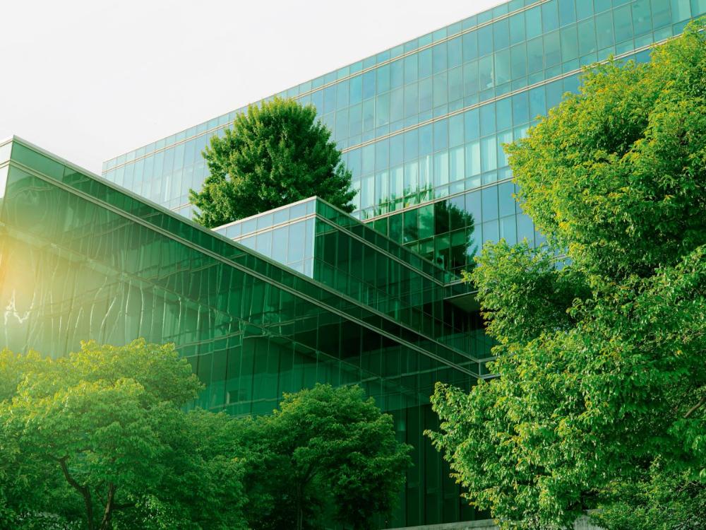 1_Schneider Electric_S.jpg