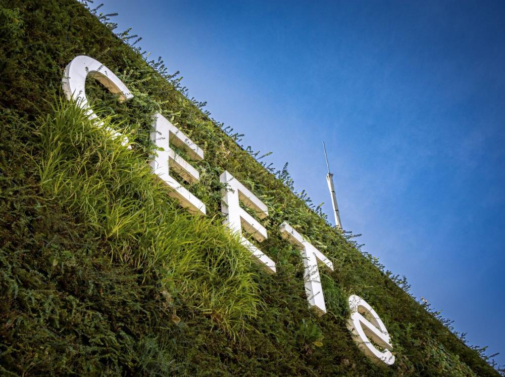2_CEETe_detail zelená stěna_S.jpg