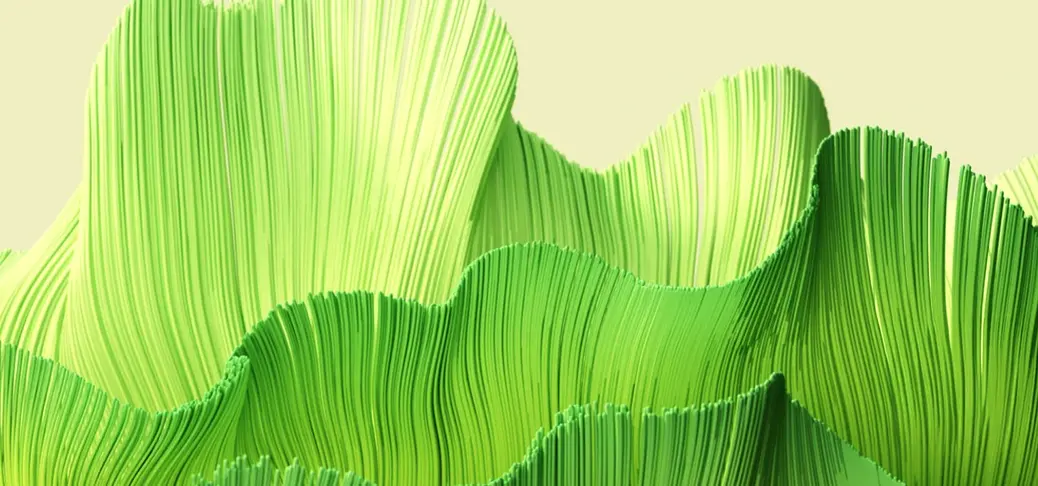 Green textured leaves