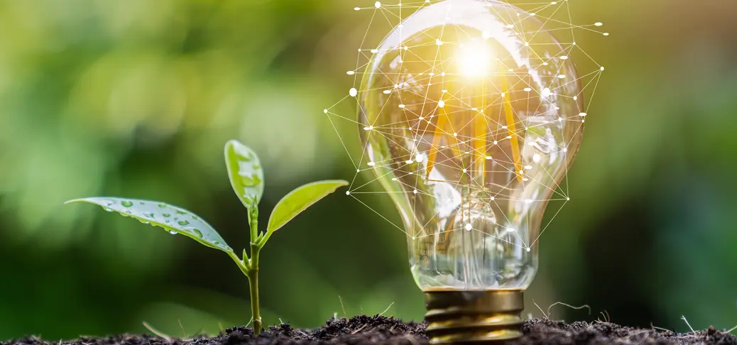 Light bulb in a green background