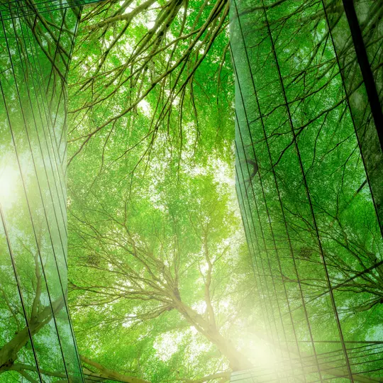 Green space with buildings