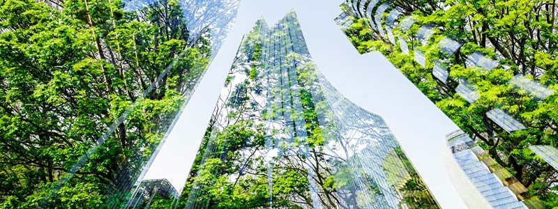 A tall building with trees in the background