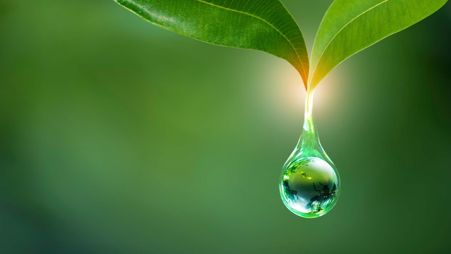 A water droplet with a leaf