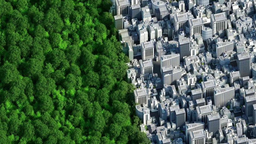 A city next to a forest