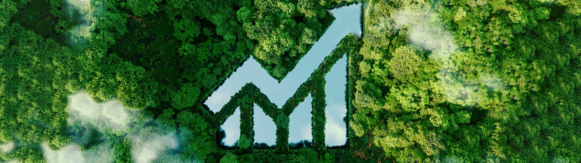 Aerial view of forest with a big graph icon