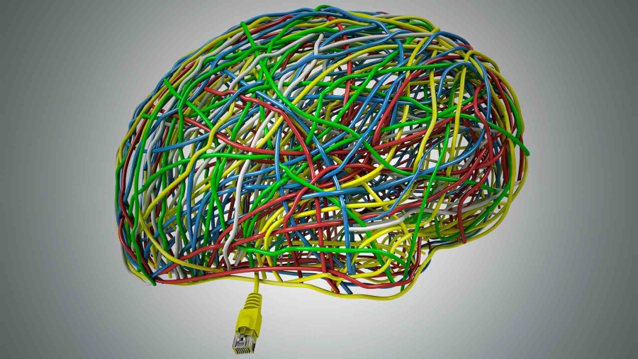 a brain made of wires