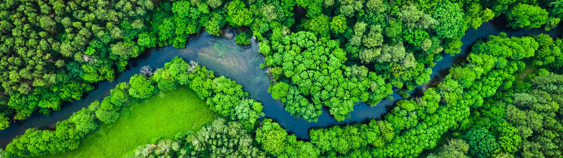 River and green forest in Tuchola natural park, aerial view