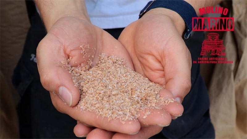 A close-up of hands holding sand