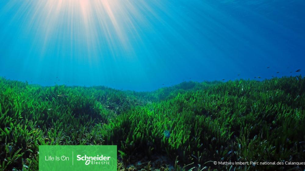 Label bas-carbone en mer - Validation d’une première méthodologie  pour la préservation des herbiers méditerranéens :  Projet « Prométhée -Med »