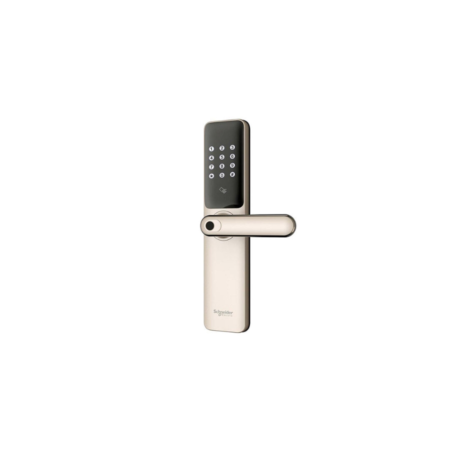 S51 Smart Door Lock