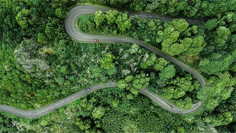 curvy road green scenery view from top