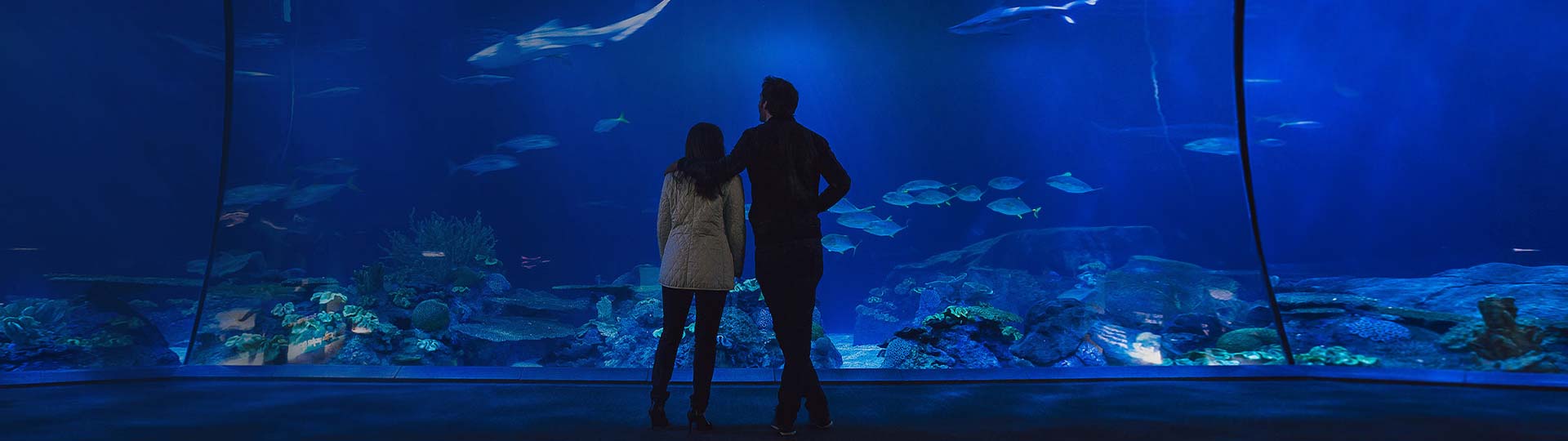 A person and person standing in front of a blue wall of fishes