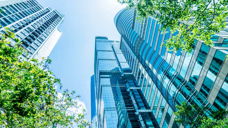 cluster of buildings