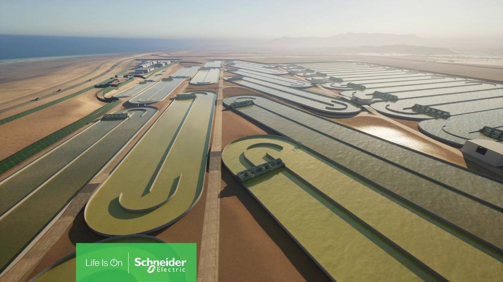 Brilliant Planet to scale algae-based carbon capture process with universal automation solution from Schneider Electric and Platinum Electrical Engineering