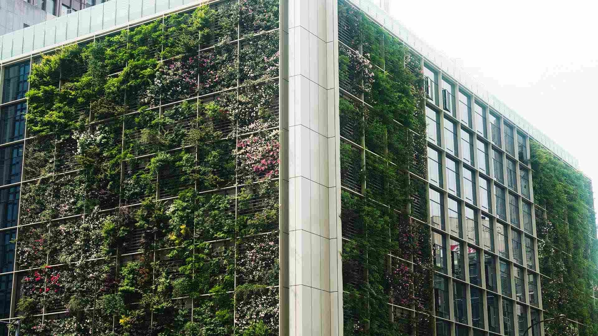 plants growing on the size of the building