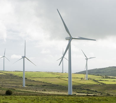 Image of a field of wind turbines in Ireland.