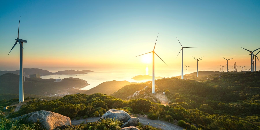 Wind mills in Forest area