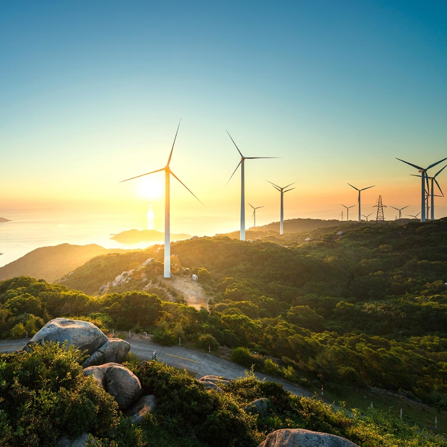 wind turbines in green forest