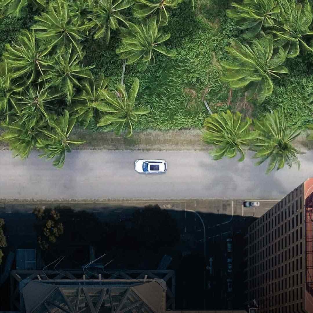 Sustainability Survey 2023