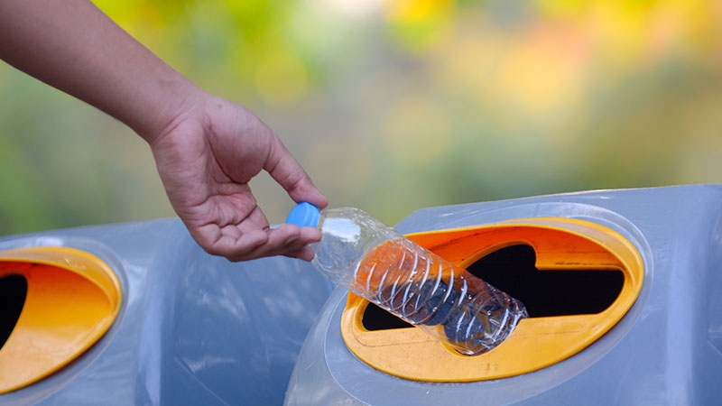 person throwing out water bottle 