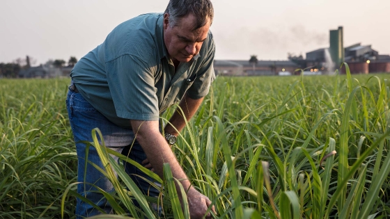a farmer tending to his crops