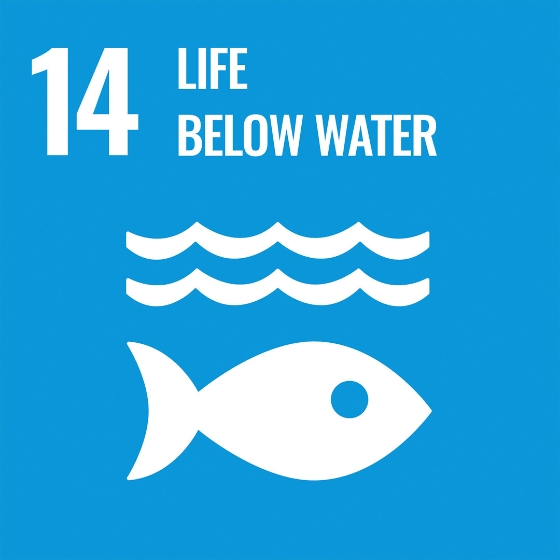 Vida debajo del agua