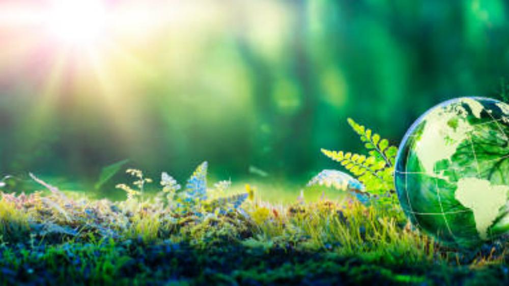 Schneider Electric lanza el proyecto Green Squad: por un México más verde